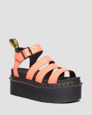 Dr Martens Blaire Pisa Nahkaiset Platform Strap Naisten Sandaalit Koralli | Suomi_Dr56403