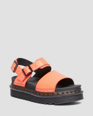 Dr Martens Voss Pisa Nahkaiset Strap Naisten Sandaalit Koralli | Suomi_Dr45831